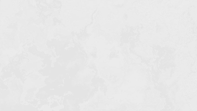 Reviews and Feedback